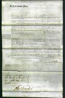 Court of Common Pleas - Elizabeth Harris-Original Ancestry