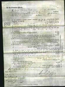 Court of Common Pleas - Mary Emmerson Thorp-Original Ancestry