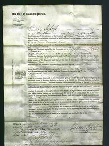 Court of Common Pleas - Maria Cane-Original Ancestry