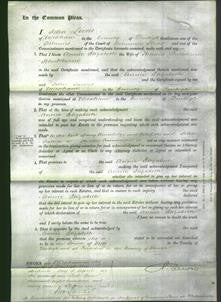 Court of Common Pleas - Annie Elizabeth Blackburne-Original Ancestry