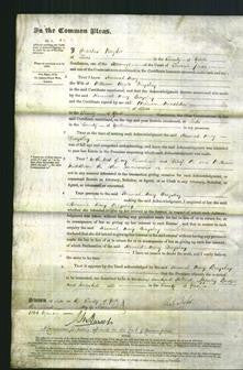 Court of Common Pleas - Hannah Mary Brayshay-Original Ancestry