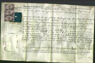 Deed by Married Women - Charlotte Souster, Caroline Collier and Jane Hutson-Original Ancestry