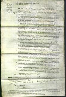 Court of Common Pleas - Selina Mary Westlake-Original Ancestry