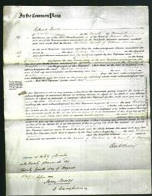 Court of Common Pleas - Rachael Arcubus-Original Ancestry