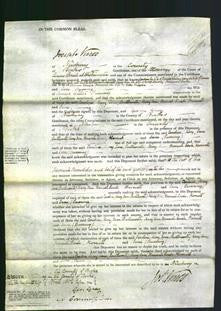 Court of Common Pleas - Caroline Whiting, Mary Challis, Jane Shutterworth, Mary Ann Lansley, Hannah Sarah Barnes, Harriett Draper and Jane Spearing-Original Ancestry