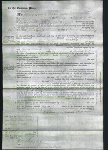 Court of Common Pleas - Jane Gould Correy-Original Ancestry