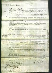 Court of Common Pleas - Anne Adams-Original Ancestry