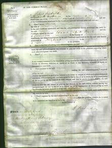 Court of Common Pleas - Elizabeth Hughes-Original Ancestry