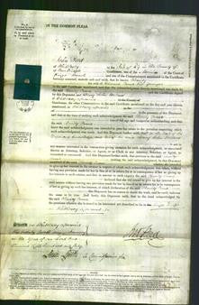 Court of Common Pleas - Charity Crane-Original Ancestry