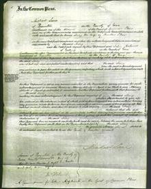 Court of Common Pleas - Mary Shaw-Original Ancestry