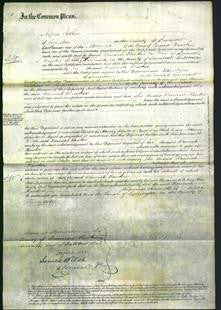 Court of Common Pleas - Hannah Hawker-Original Ancestry