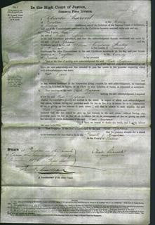 Court of Common Pleas - Kate Szapira-Original Ancestry