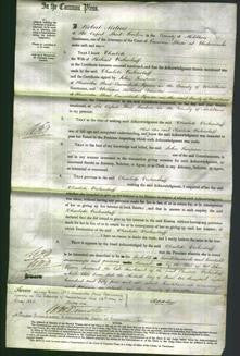 Court of Common Pleas - Charlotte Vickerstaff-Original Ancestry