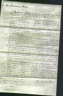 Court of Common Pleas - Elizabeth Mary Warner-Original Ancestry