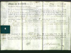 Deed by Married Women - Sophia Snelling and Maria Brewster-Original Ancestry