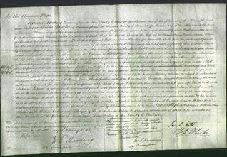 Court of Common Pleas - Louisa Wilson-Original Ancestry