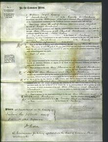 Court of Common Pleas - Ann Stevenson and Elizabeth Henderson-Original Ancestry