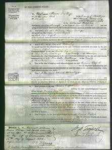 Court of Common Pleas - Rosina Oxford-Original Ancestry