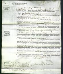 Court of Common Pleas - Sophia Susannah Meers-Original Ancestry