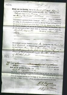 Deed by Married Women - Elizabeth Augusta Steele-Original Ancestry