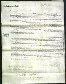 Court of Common Pleas - Margaretta Jannetta Davies-Original Ancestry