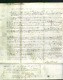 Court of Common Pleas - Mary Billins-Original Ancestry