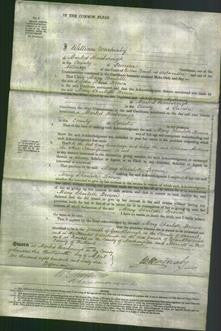 Court of Common Pleas - Mary Charlotte Brown-Original Ancestry