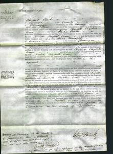 Court of Common Pleas - Charlotte Elizabeth Evans-Original Ancestry