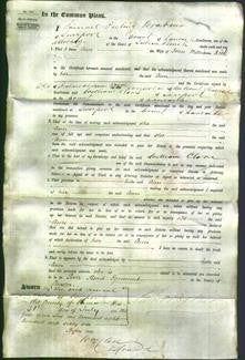 Court of Common Pleas - Ann Kelk-Original Ancestry