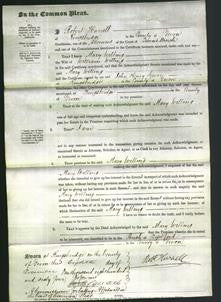 Court of Common Pleas - Mary Willing-Original Ancestry