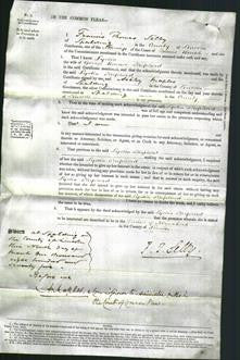 Court of Common Pleas - Lydia Shepherd-Original Ancestry