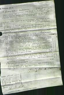 Court of Common Pleas - Sarah Ann Morgan-Original Ancestry