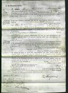 Court of Common Pleas - Margaret Jones-Original Ancestry