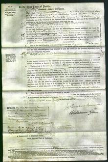 Court of Common Pleas - Agnes Helena Barron-Original Ancestry