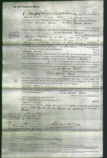 Court of Common Pleas - Amelia Bower-Original Ancestry