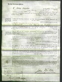 Court of Common Pleas - Ellen Bassett-Original Ancestry