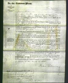 Court of Common Pleas - Harriett Whatmough-Original Ancestry