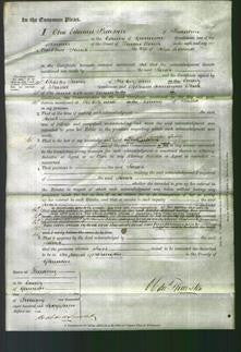 Court of Common Pleas - Sarah Liddiall-Original Ancestry