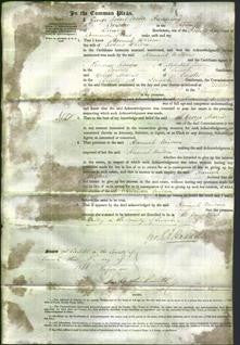 Court of Common Pleas - Hannah Wilson-Original Ancestry