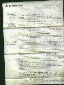 Court of Common Pleas - Emily Eyre-Original Ancestry