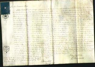 Court of Common Pleas - Jane Curnow-Original Ancestry