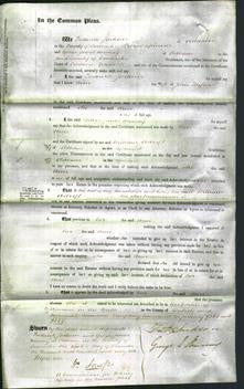 Court of Common Pleas - Ann Taylor-Original Ancestry