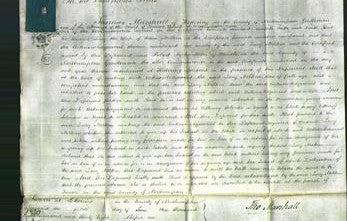 Court of Common Pleas - Lucy Melkin-Original Ancestry