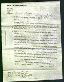 Court of Common Pleas - Caroline Greig-Original Ancestry