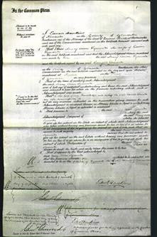 Court of Common Pleas - Mary Ann Symonds-Original Ancestry
