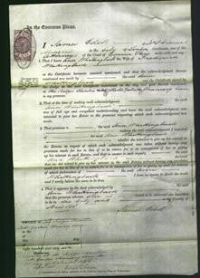 Court of Common Pleas - Ann Whittingback-Original Ancestry