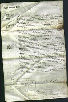 Court of Common Pleas - Frances Pigott-Original Ancestry