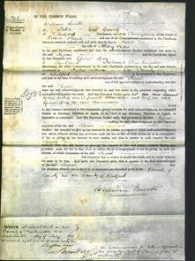 Court of Common Pleas - Keziah Jeeves-Original Ancestry