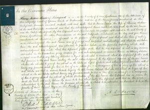 Court of Common Pleas - Emma Andrew-Original Ancestry