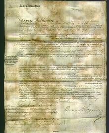 Court of Common Pleas - Elizabeth Townend-Original Ancestry